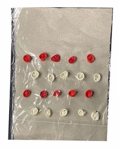 vishal fancy balloons | fancy balloons | vishal | vishal rubber india | vishal balloons india | best ballons india | wholesaler | balloon wholesaler | cheap balloons | balloons | rubber wholesaler | balloons supplier | red balloons | white balloons | heart balloons | red heart balloons | white heart balloons | red and white heart balloons | white and red heart balloons vishal fancy balloons | fancy balloons | vishal | vishal rubber india | vishal balloons india | best ballons india | wholesaler | balloon wholesaler | cheap balloons | balloons | rubber wholesaler | balloons supplier | red balloons | white balloons | heart balloons | red heart balloons | white heart balloons | red and white heart balloons | white and red heart balloons